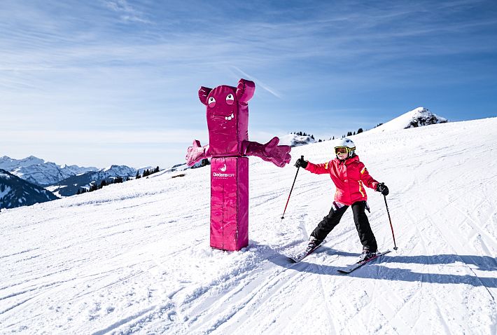 bergbahn-diedamskopf-funslope-skigebiet-au-schoppernau-bregenzerwald-vorarlberg