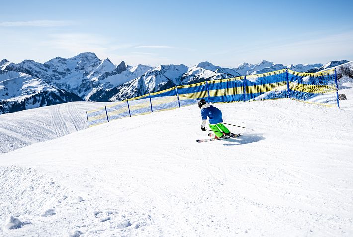 bergbahn-diedamskopf-funslope-skigebiet-au-schoppernau-bregenzerwald-vorarlberg